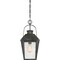 Quoizel Carriage 1-Light Mottled Black Mini Pendant CRG1510MB - alternate 4